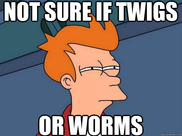not sure if twigs or worms  Futurama Fry