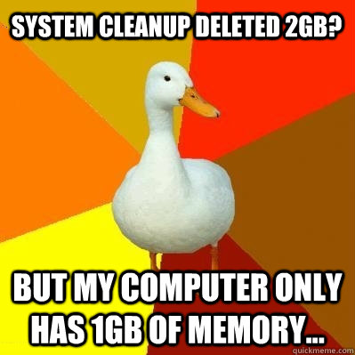 System cleanup deleted 2gb? but my computer only has 1gb of memory...  Tech Impaired Duck