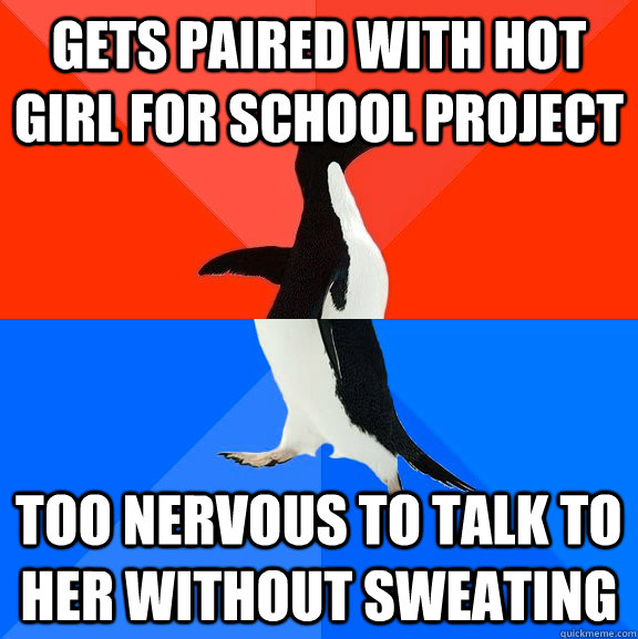Gets paired with hot girl for school project too nervous to talk to her without sweating  Socially Awesome Awkward Penguin