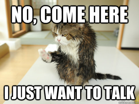 no, come here I just want to talk - no, come here I just want to talk  Wet Grumpy Cat