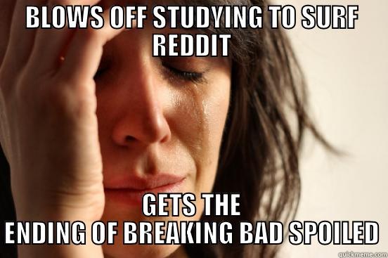 BB spoiled - BLOWS OFF STUDYING TO SURF REDDIT GETS THE ENDING OF BREAKING BAD SPOILED First World Problems