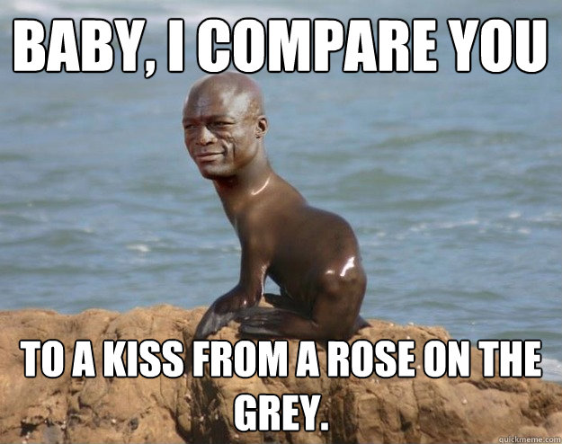Baby, I compare you 
 to a kiss from a rose on the grey. - Baby, I compare you 
 to a kiss from a rose on the grey.  Sensuous Seal