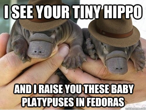 I see your tiny hippo  And I raise you these baby platypuses in fedoras - I see your tiny hippo  And I raise you these baby platypuses in fedoras  Baby Platypuses