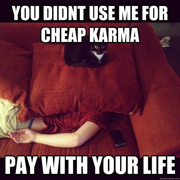you didnt use me for cheap karma pay with your life - you didnt use me for cheap karma pay with your life  jealous cat