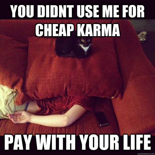you didnt use me for cheap karma pay with your life  jealous cat