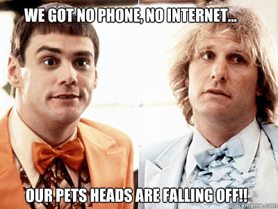 our pets heads are falling off!! we got no phone, no internet...  