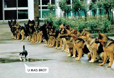 U MAD BRO?  