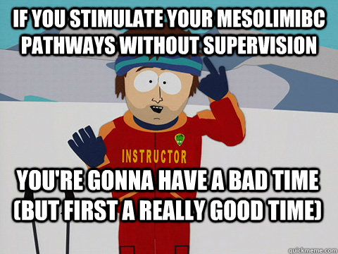 If you stimulate your mesolimibc pathways without supervision You're gonna have a bad time (but first a really good time)  Bad Time