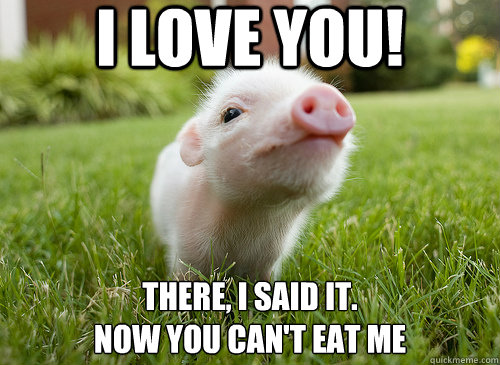 I Love you! there, i said it.
now you can't eat me - I Love you! there, i said it.
now you can't eat me  baby pig