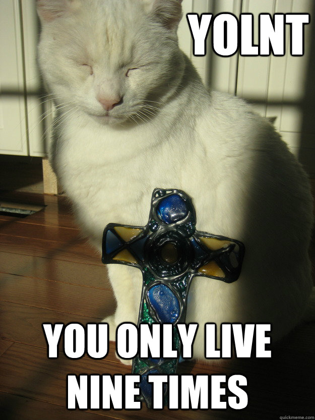 YOLNT You only live nine times  