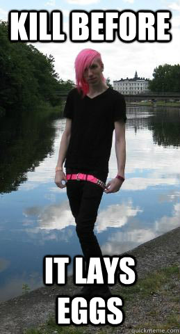 kill before it lays eggs - kill before it lays eggs  reject of life
