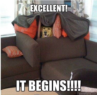 Excellent! IT BEGINS!!!! - Excellent! IT BEGINS!!!!  Dogfort