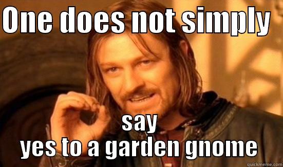ONE DOES NOT SIMPLY   SAY YES TO A GARDEN GNOME Boromir