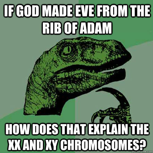 If God made Eve from the rib of adam How does that explain the xx and xy chromosomes?  Philosoraptor