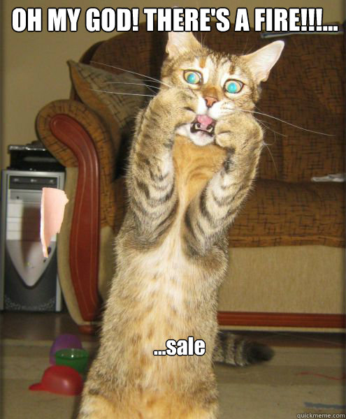 ...sale OH MY GOD! THERE'S A FIRE!!!... - ...sale OH MY GOD! THERE'S A FIRE!!!...  Aghast Cat Pounce