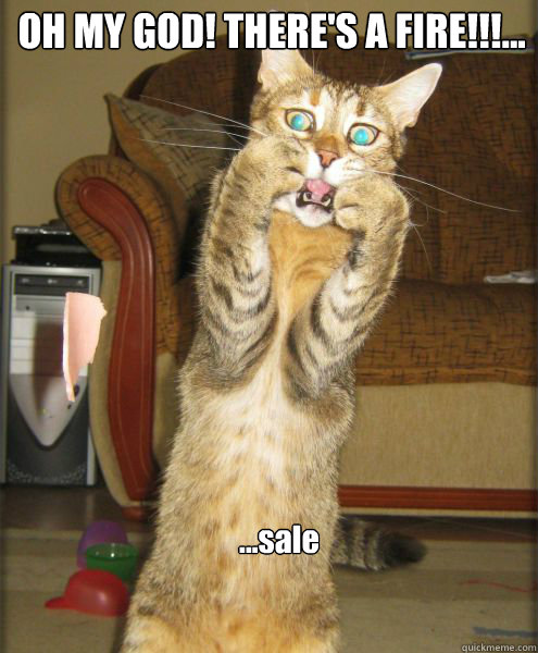 ...sale OH MY GOD! THERE'S A FIRE!!!...  Aghast Cat Pounce