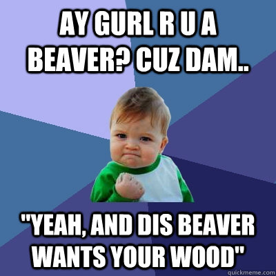 ay gurl r u a beaver? cuz dam.. 