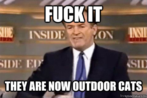 fuck it They are now outdoor cats - fuck it They are now outdoor cats  Bill Oreilly HD
