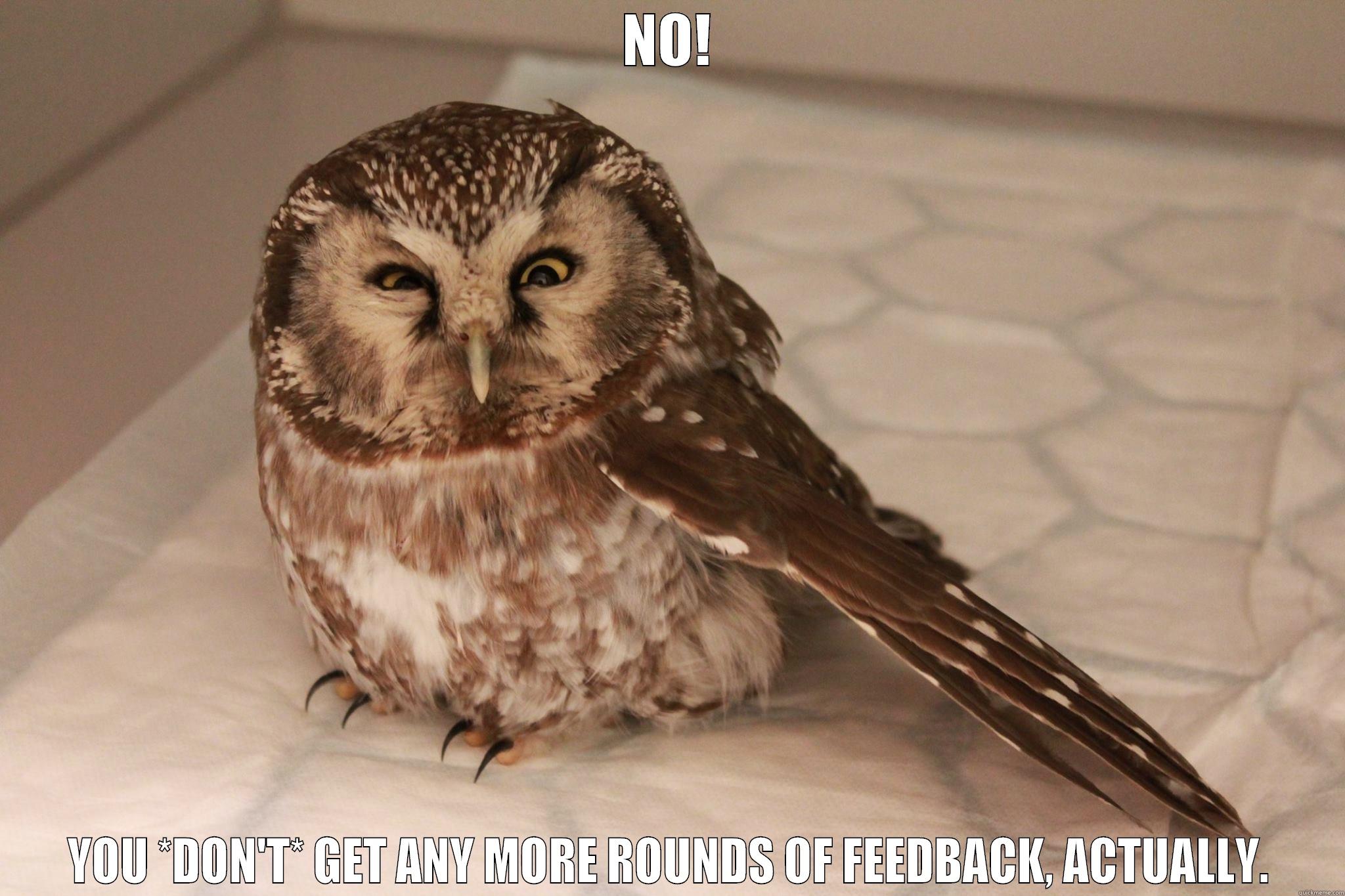 NO! YOU *DON'T* GET ANY MORE ROUNDS OF FEEDBACK, ACTUALLY. Misc