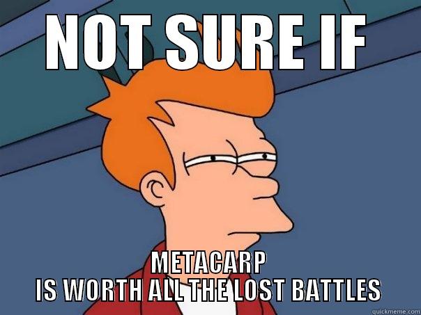 NOT SURE IF METACARP IS WORTH ALL THE LOST BATTLES Futurama Fry