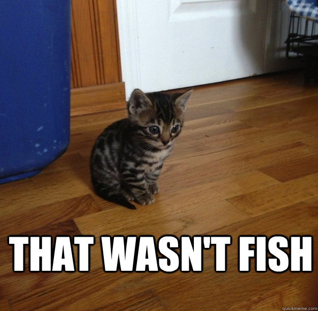  That wasn't fish -  That wasn't fish  Misc