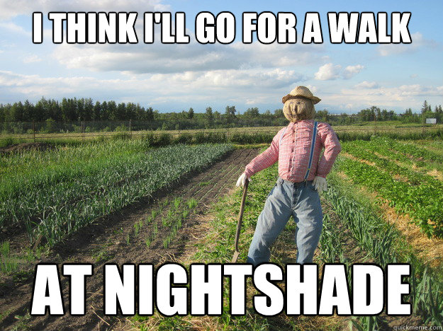 I think I'll go for a walk at nightshade - I think I'll go for a walk at nightshade  Scarecrow