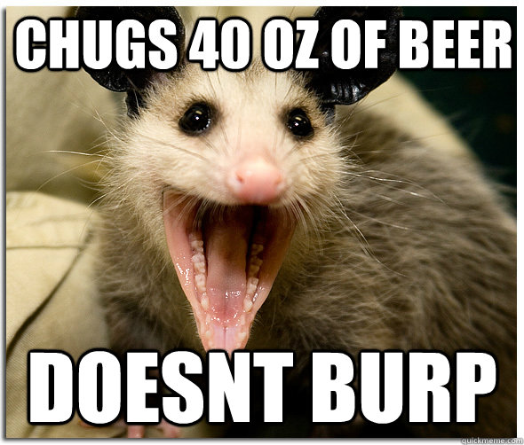 Chugs 40 oz of beer doesnt burp  Awesome Possum