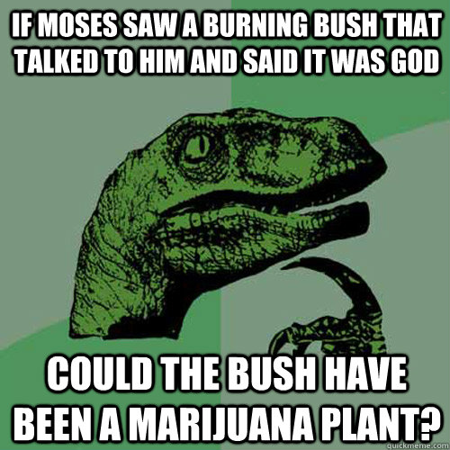 If Moses saw a burning bush that talked to him and said it was god Could the bush have been a marijuana plant? - If Moses saw a burning bush that talked to him and said it was god Could the bush have been a marijuana plant?  Philosoraptor