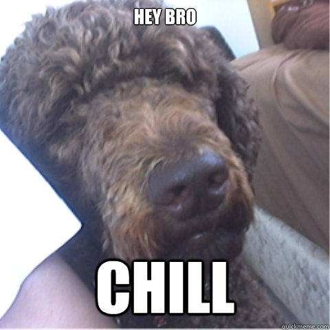 Hey Bro Chill  