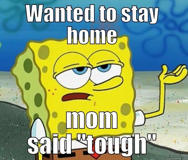 WANTED TO STAY HOME MOM SAID 