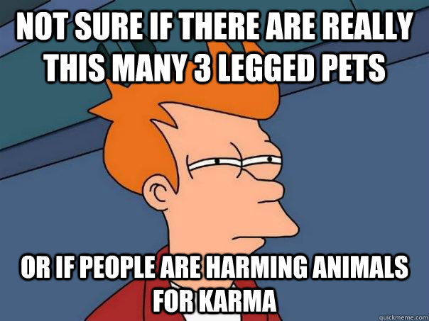 Not sure if there are really this many 3 legged pets Or if people are harming animals for karma  Futurama Fry