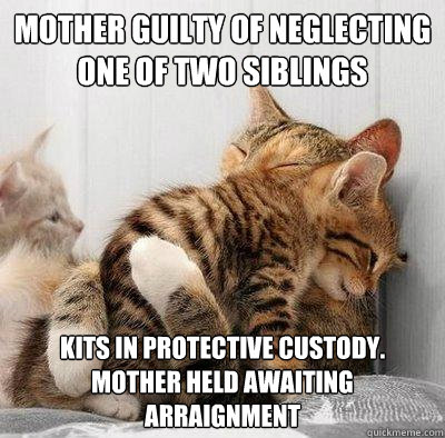 mother guilty of neglecting one of two siblings kits in protective custody. mother held awaiting arraignment  Kitty Hug
