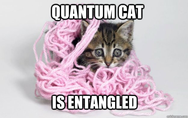 quantum cat is entangled - quantum cat is entangled  Misc