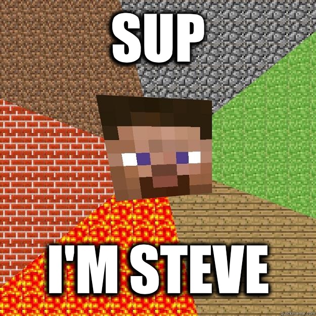 Sup I'm Steve  Minecraft