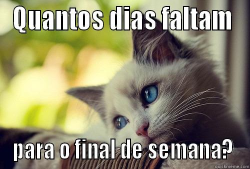 QUANTOS DIAS FALTAM PARA O FINAL DE SEMANA? First World Problems Cat