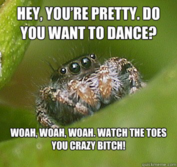 Hey, you’re pretty. Do you want to dance? Woah, woah, WOAH. Watch the toes you crazy bitch!

  Misunderstood Spider
