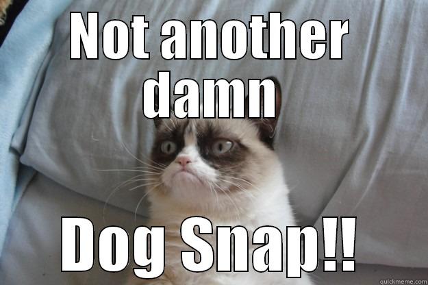 Too Many Dog Snaps - NOT ANOTHER DAMN DOG SNAP!! Grumpy Cat
