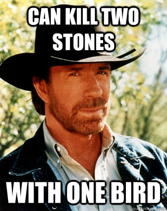 Can kill two stones with one bird - Can kill two stones with one bird  Misc