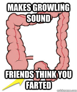 Makes growling sound friends think you farted  Scumbag Bowels