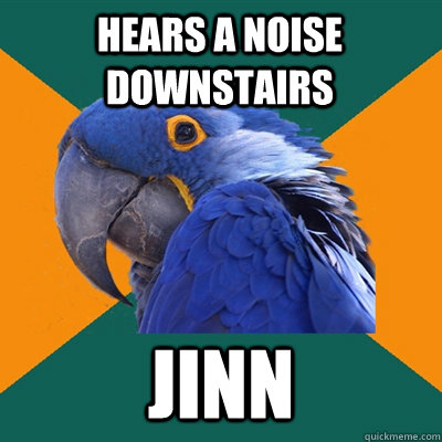 Hears a noise downstairs Jinn  Paranoid Parrot