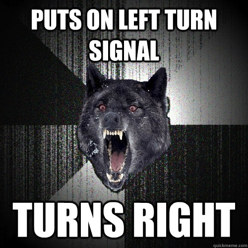 Puts on left turn signal turns right  Insanity Wolf