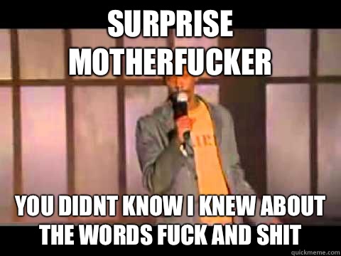 Surprise motherfucker You didnt know i knew about the words fuck and shit   Dave Chappelle Suprise MotherFucker