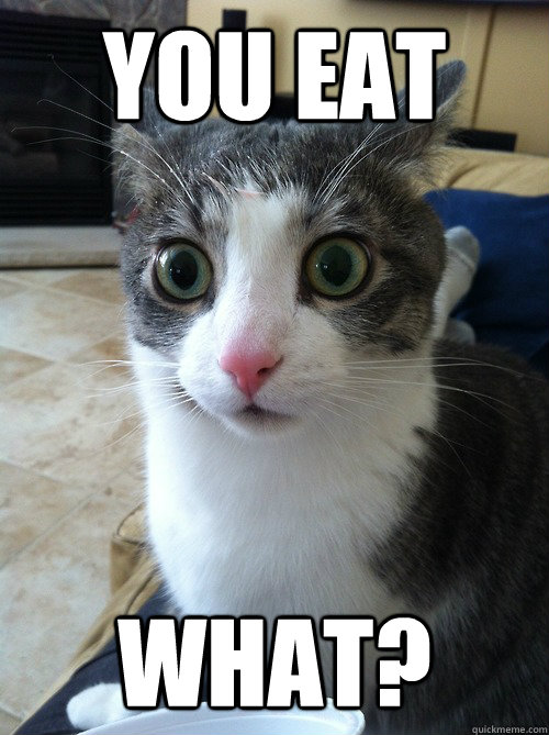 you eat what?  Sudden Clarity Cat