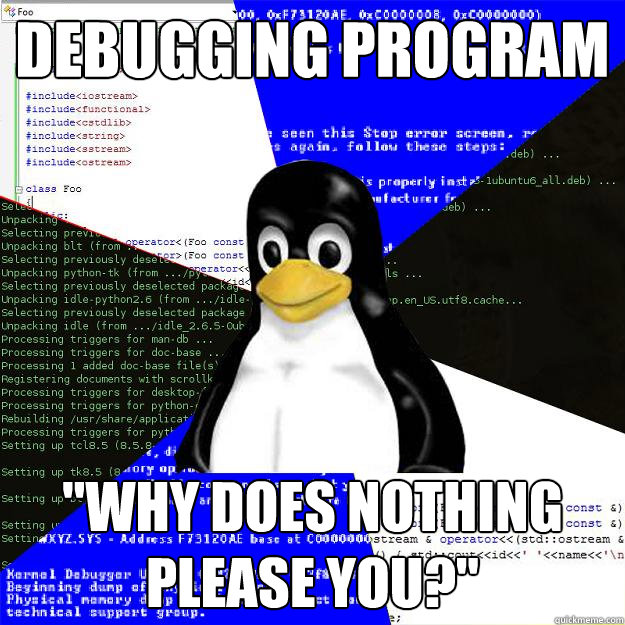 Debugging program 