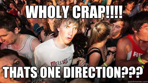 Wholy Crap!!!! Thats one direction???  Sudden Clarity Clarence