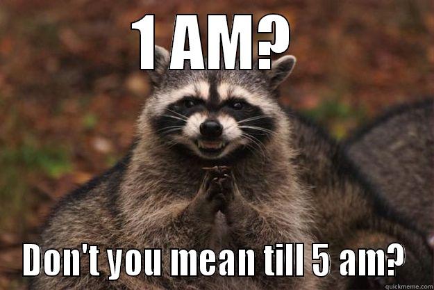 1 AM? DON'T YOU MEAN TILL 5 AM? Evil Plotting Raccoon