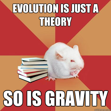 Evolution is just a theory So is gravity - Evolution is just a theory So is gravity  Science Major Mouse