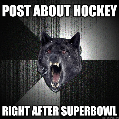 post about hockey right after superbowl  Insanity Wolf