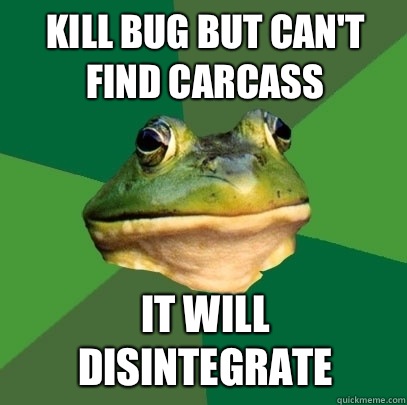 Kill bug but can't find carcass  It will disintegrate   Foul Bachelor Frog