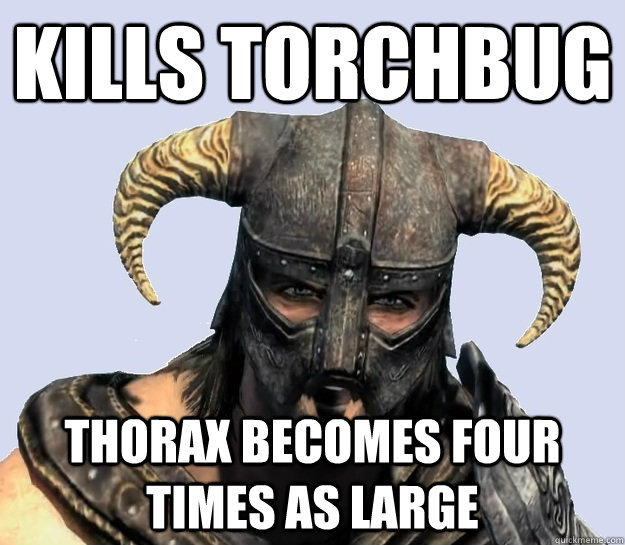 Kills torchbug Thorax becomes four times as large - Kills torchbug Thorax becomes four times as large  Dovahkiin